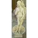 Venere di Botticelli