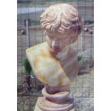  Busto Davide